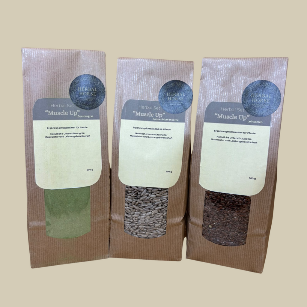 Muscle Up - Herbal Set